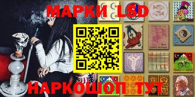 молекула духа Будённовск