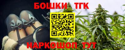 молекула духа Будённовск