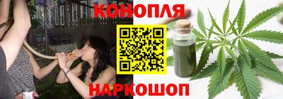 молекула духа Будённовск
