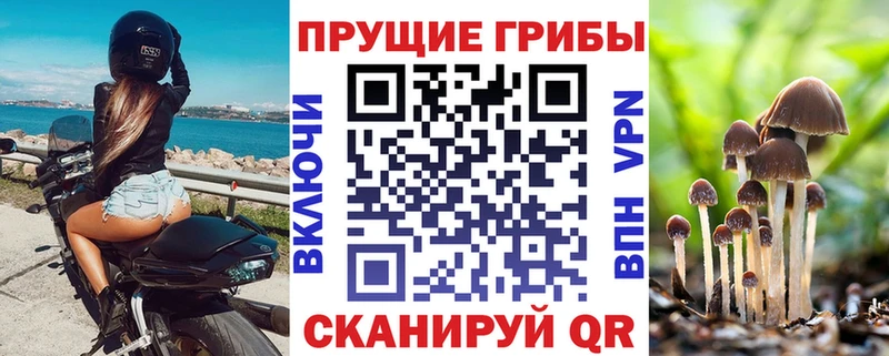 Псилоцибиновые грибы мухоморы  Кудрово 