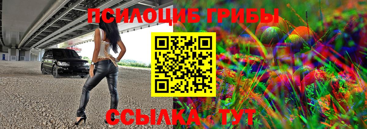 Кудрово  Галлюциногенные грибы мицелий  Галлюциногенные грибы мухоморы  Вход с VPN 